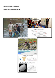 T-Profile William Foster