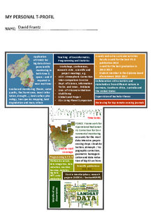 T-Profile David Frantz