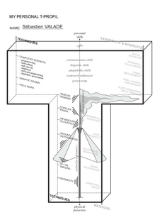 T-Profile Sébastien Valade